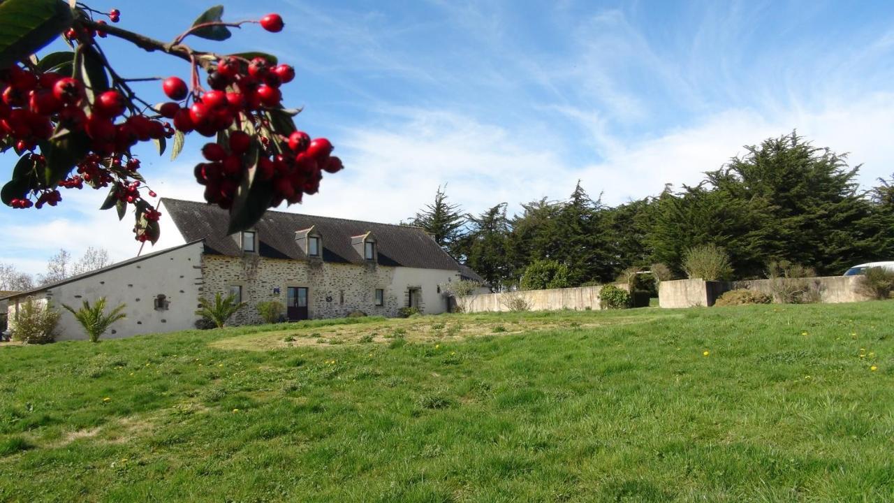 Le Colombier De Kerguezec Bed & Breakfast Surzur Ngoại thất bức ảnh